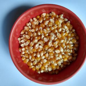Milho de pipoca