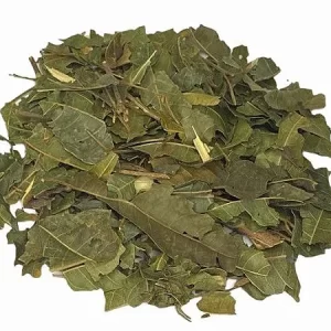 Chá de Tarumã