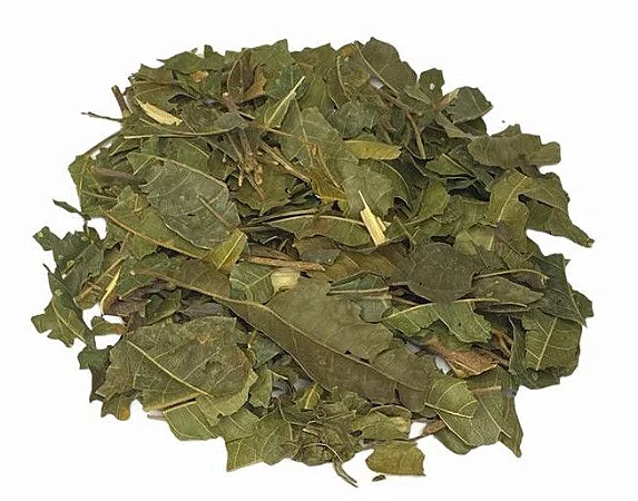 Chá de Tarumã