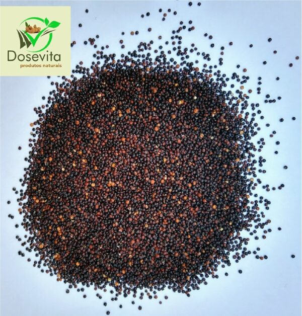 Quinoa preta em grãos 500g