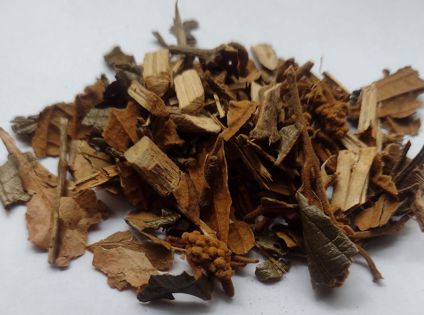 Chá de canela de velho