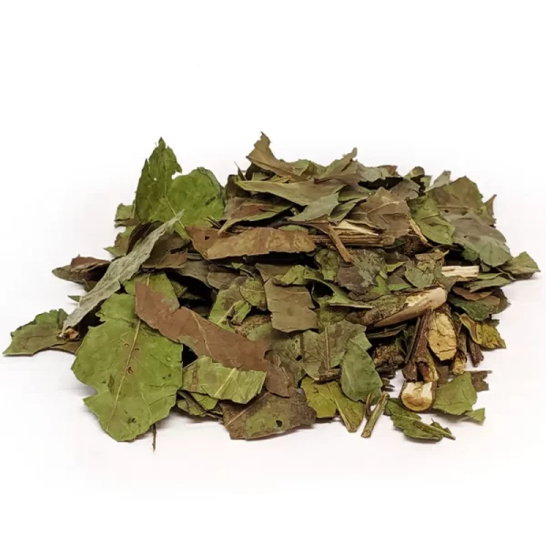 Chá verde