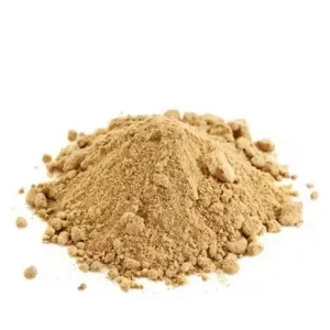 Tribulus terrestre